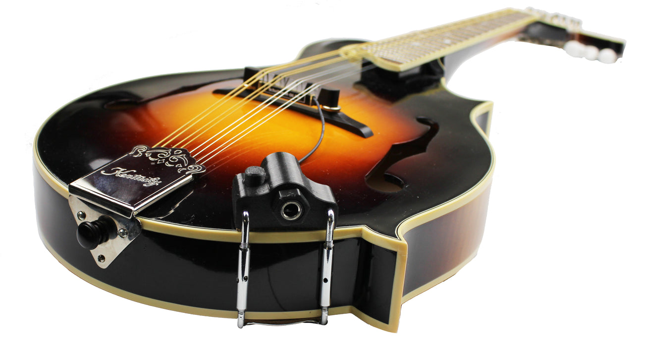 M-06 Pro-2 - Mandolin Pickup with New RJAplus Jack for Adjustable Bridges